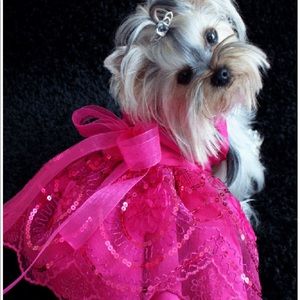 Meet your Posher, Ivonne